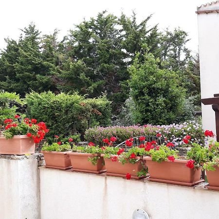 Appartamento Villino Messina San Vito Lo Capo Esterno foto