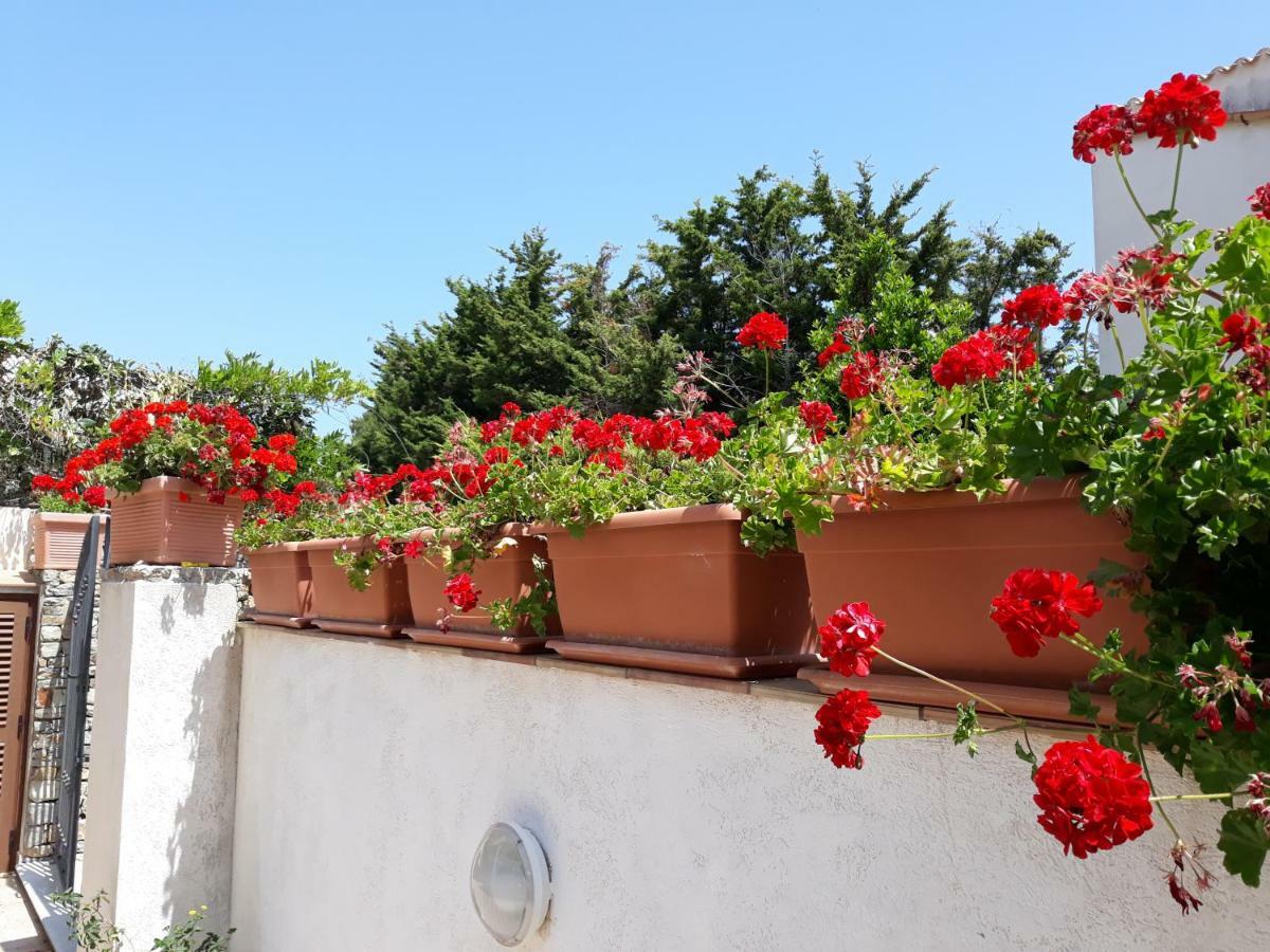 Appartamento Villino Messina San Vito Lo Capo Esterno foto